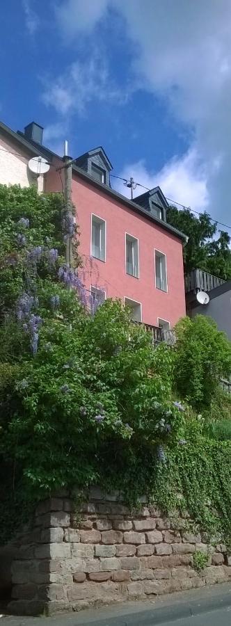 Logenplatz Ueber Trier Villa Екстериор снимка